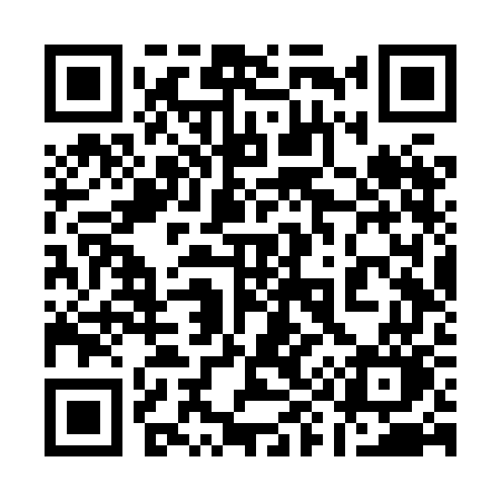 QR code for 196XGO