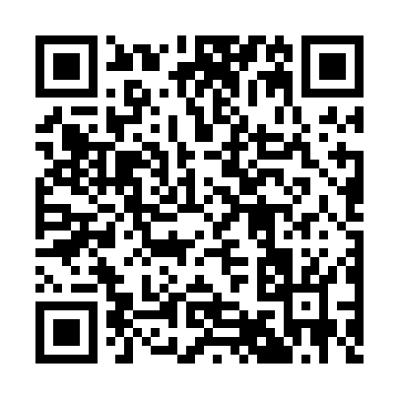 QR code for 197PO