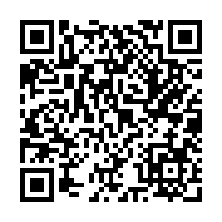 QR code for 203SX