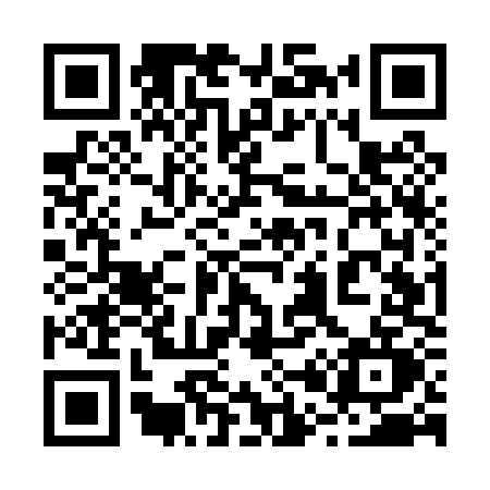 QR code for 205P