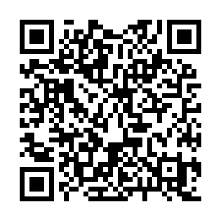 QR code for 206IZI