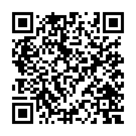 QR code for 207HD