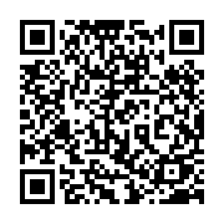 QR code for 208PAU