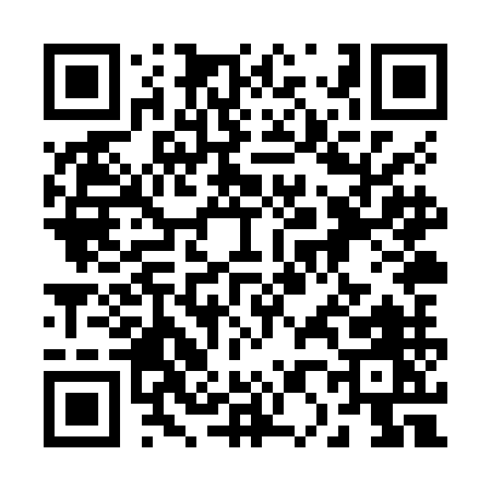 QR code for 208ZM