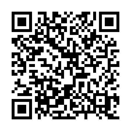 QR code for 209MPH