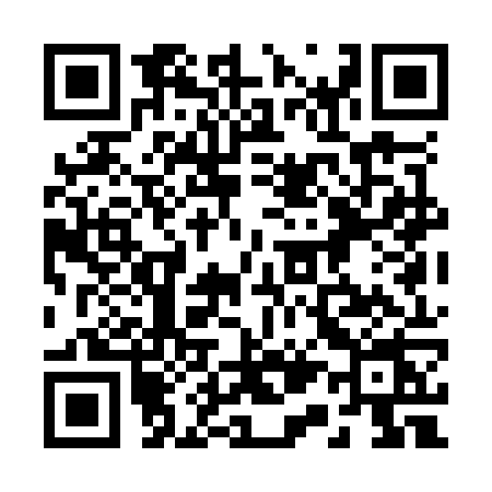 QR code for 211O
