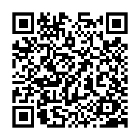 QR code for 213T