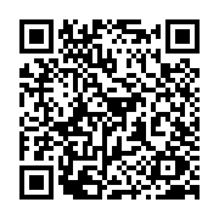 QR code for 216P