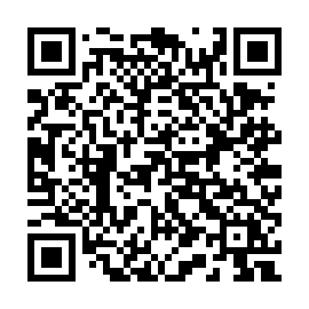 QR code for 217TDX