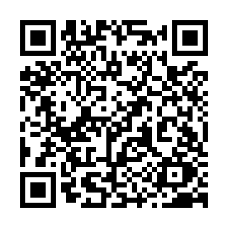 QR code for 219O
