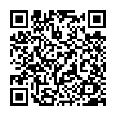 QR code for 219V