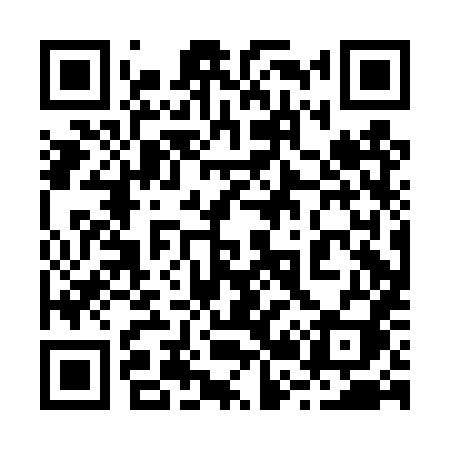 QR code for 220DXI