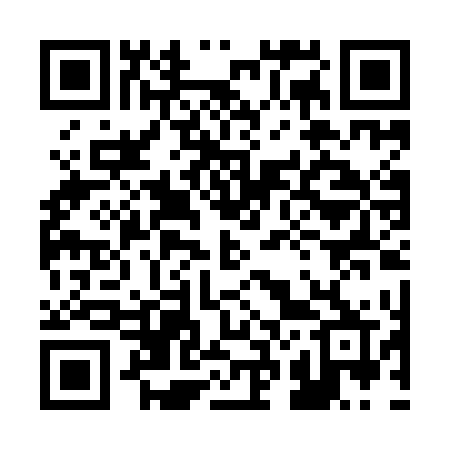 QR code for 220IDR