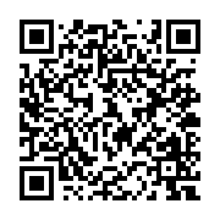 QR code for 220PI
