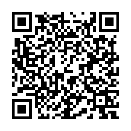 QR code for 220X