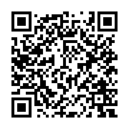 QR code for 221MW