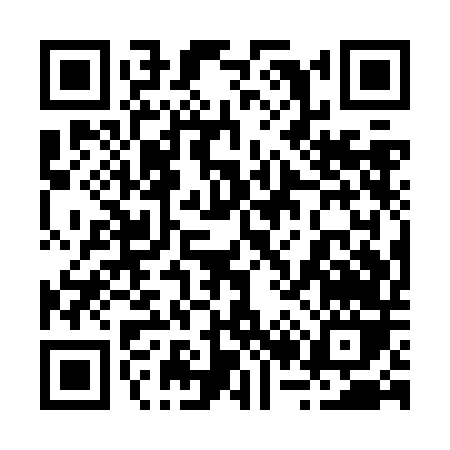 QR code for 221ZD