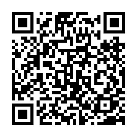QR code for 225BIP
