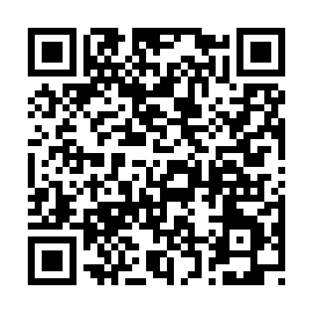 QR code for 225IX