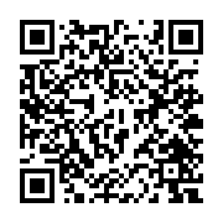 QR code for 225PD