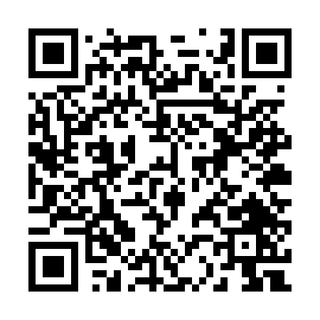 QR code for 225PT