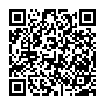 QR code for 225PV