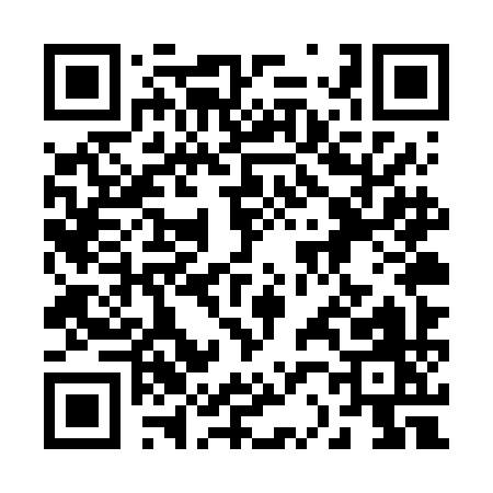 QR code for 225VI