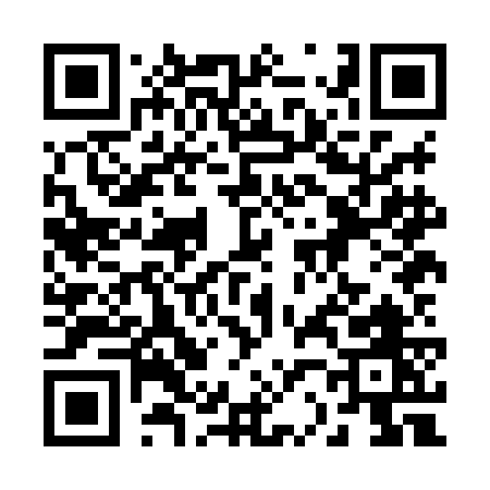 QR code for 228HG