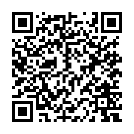 QR code for 228HO