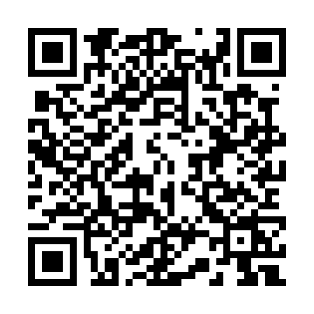 QR code for 228P