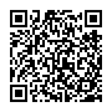 QR code for 228VIO
