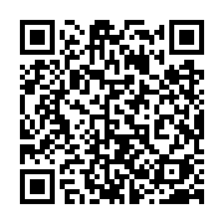 QR code for 228WSI