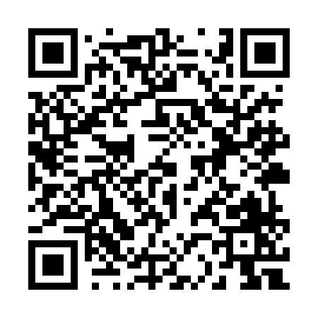 QR code for 229TH