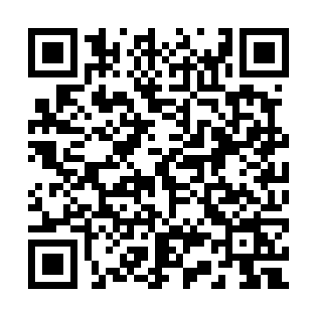 QR code for 233T