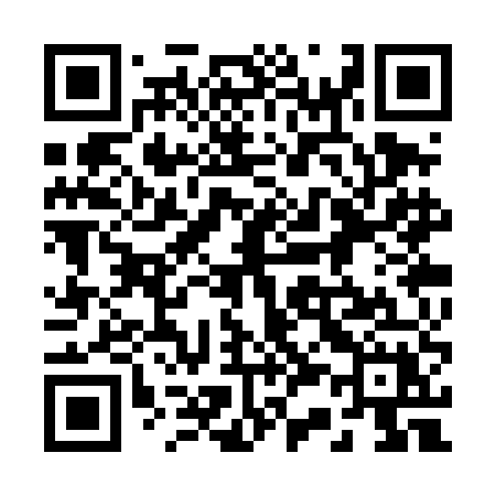 QR code for 233TEX