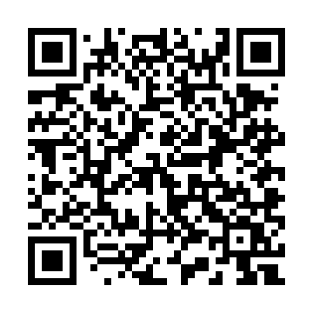 QR code for 234DMV
