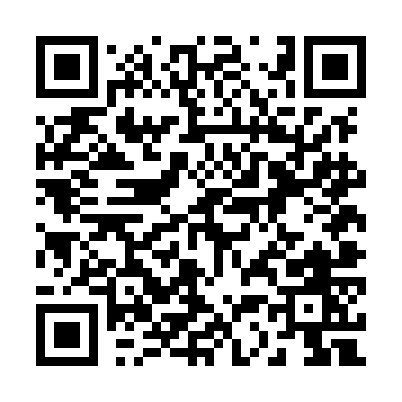QR code for 234MO