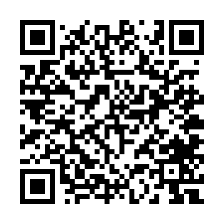 QR code for 234PL