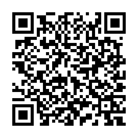 QR code for 234T