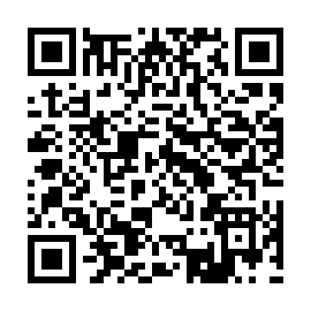 QR code for 238PT