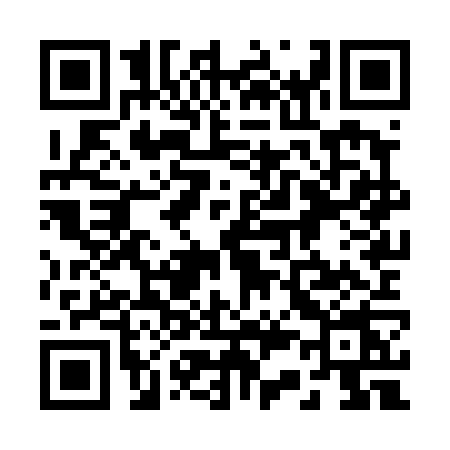 QR code for 238T
