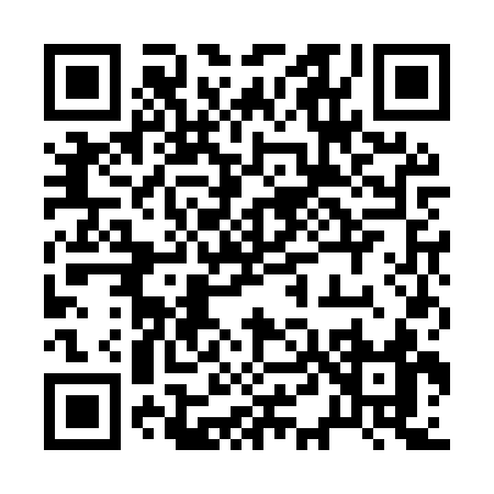 QR code for 241MS