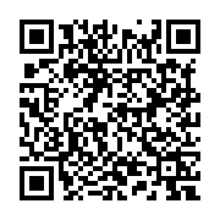QR code for 241X