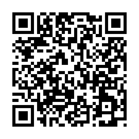 QR code for 249ZI