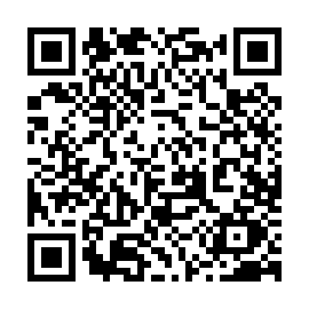 QR code for 250P