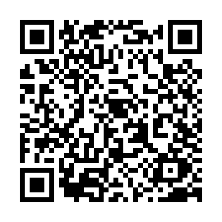 QR code for 256P