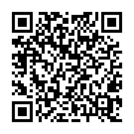 QR code for 256PMG