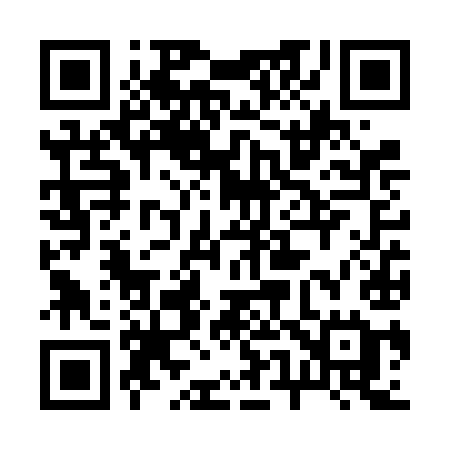 QR code for 256VIE