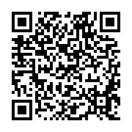 QR code for 256XM