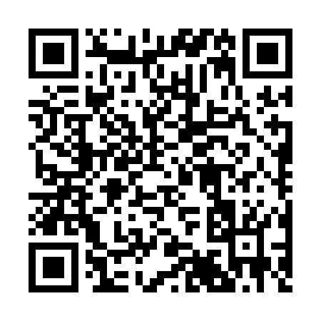 QR code for 290AO